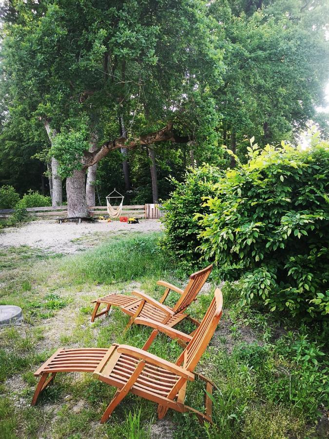 Gaestehaus Maria Rast Suderburg Εξωτερικό φωτογραφία