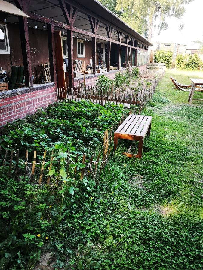 Gaestehaus Maria Rast Suderburg Εξωτερικό φωτογραφία